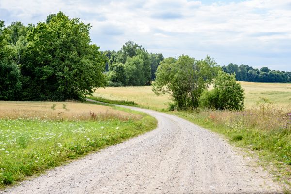Stone Driveway Repair in Wentzville