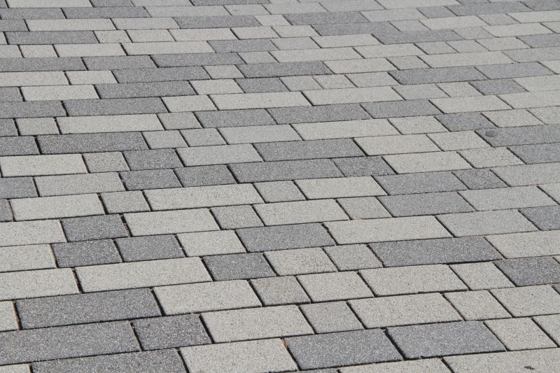 Pavers in Action